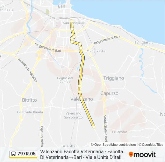 797R.05 Bus Line Map