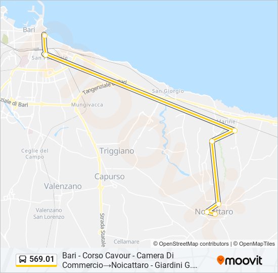 569.01 bus Line Map