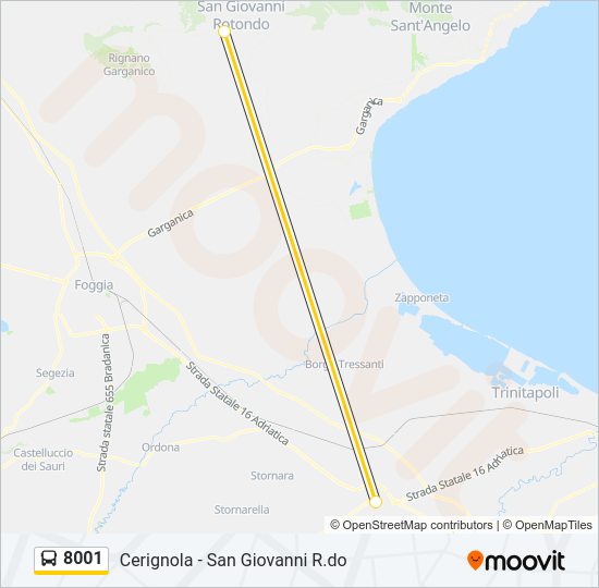 8001 Bus Line Map