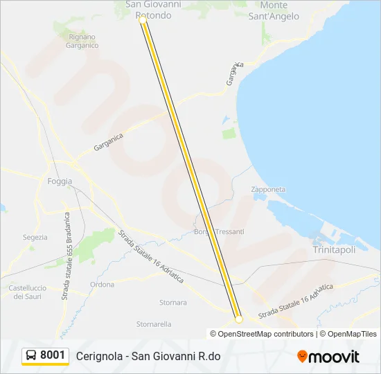 8001 Bus Line Map