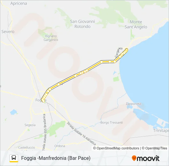 741.2PACE Bus Line Map