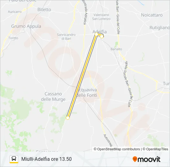 704R.AM.05 Bus Line Map