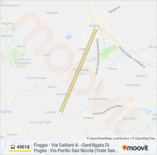 49018 Bus Line Map