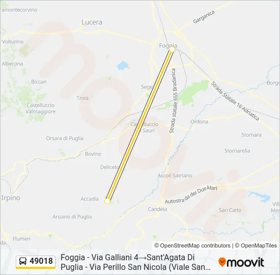 49018 Bus Line Map