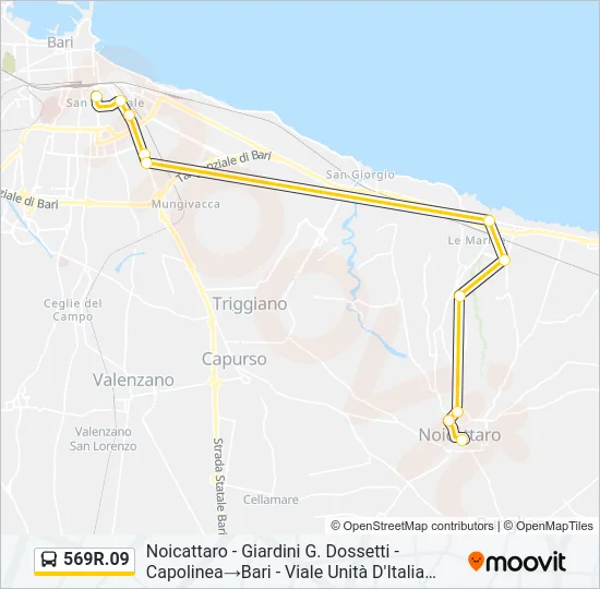 569R.09 Bus Line Map