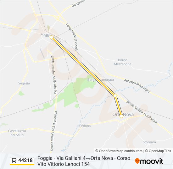 44218 Bus Line Map