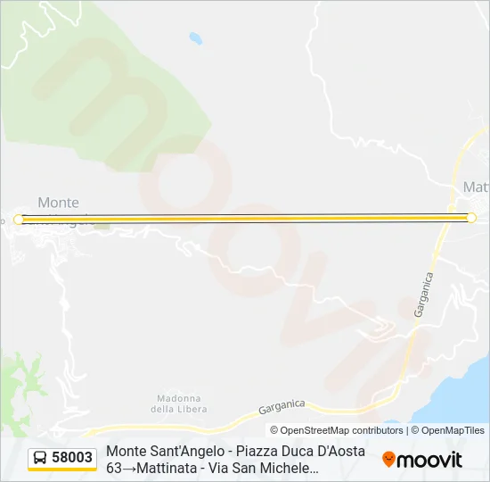 58003 Bus Line Map