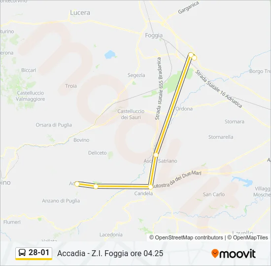 28-01 Bus Line Map