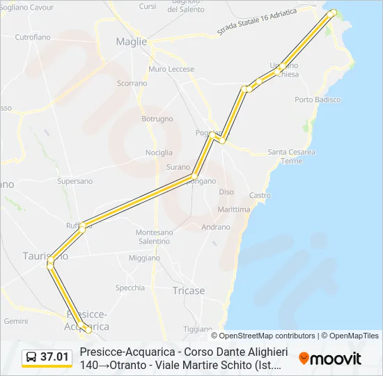 37.01 Bus Line Map