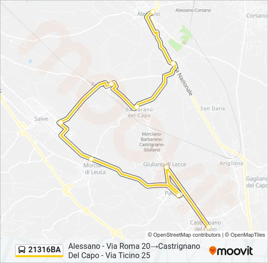 21316BA Bus Line Map