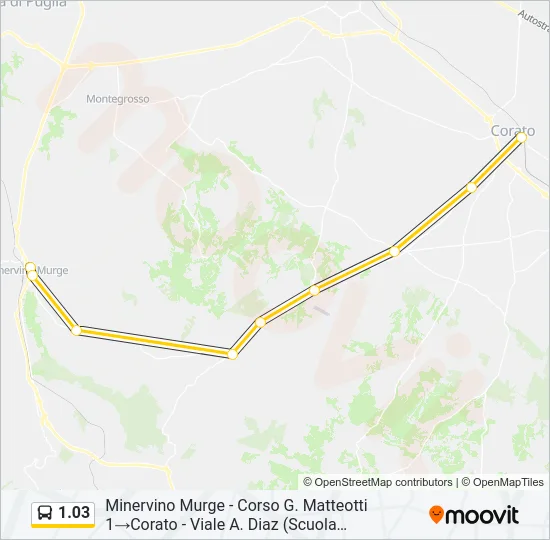 1.03 Bus Line Map