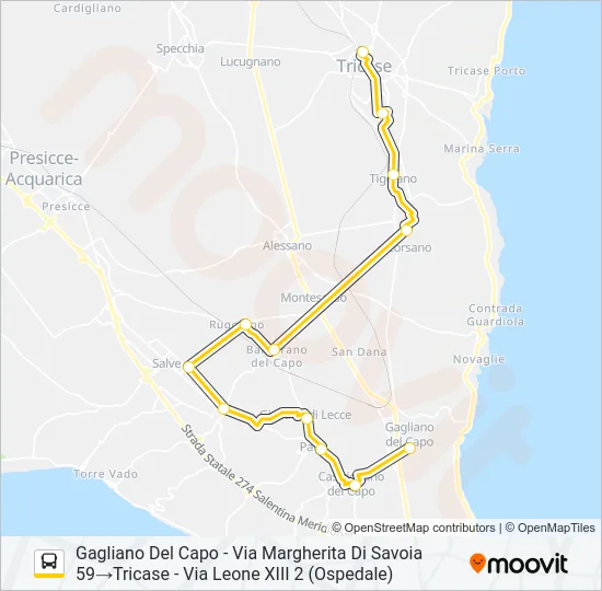 2131 - 1 Bus Line Map
