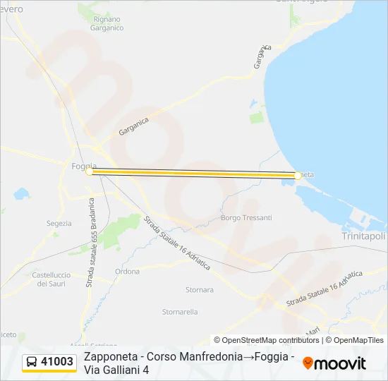 41003 Bus Line Map