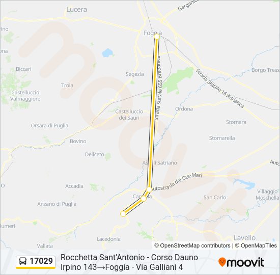 17029 Bus Line Map