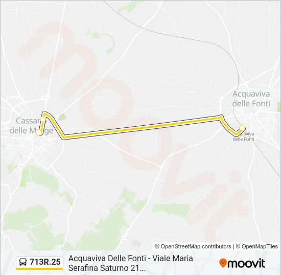 713R.25 Bus Line Map
