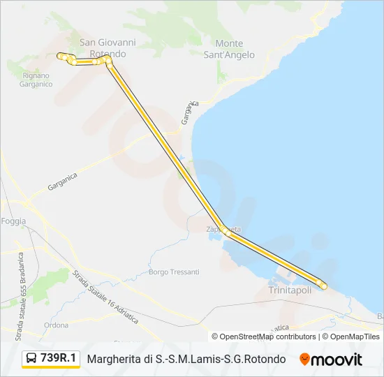 739R.1 Bus Line Map