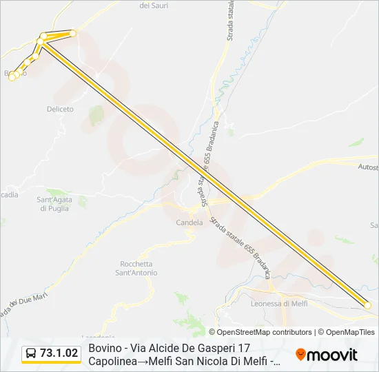73.1.02 Bus Line Map