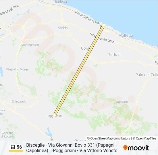 56 Bus Line Map