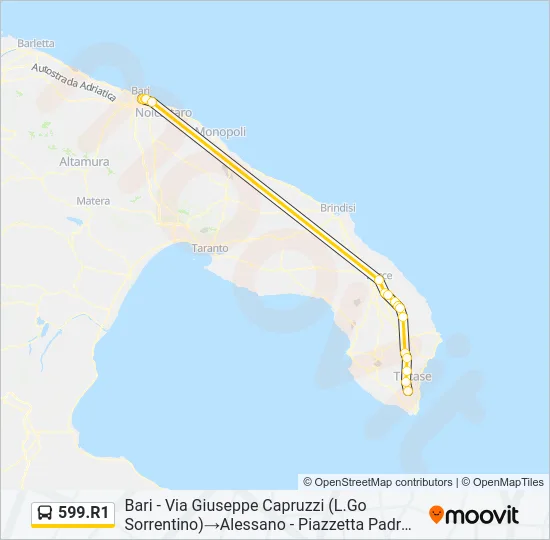 599.R1 Bus Line Map