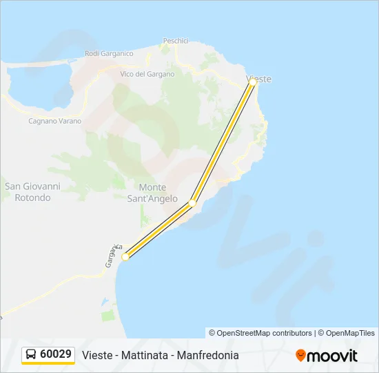 60029 Bus Line Map