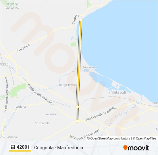 42001 Bus Line Map