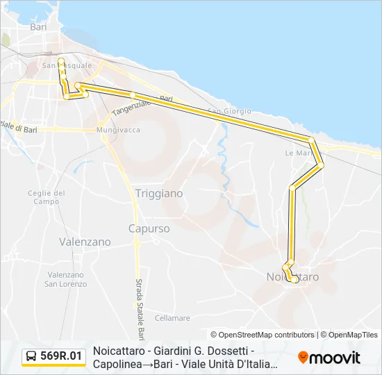 569R.01 Bus Line Map