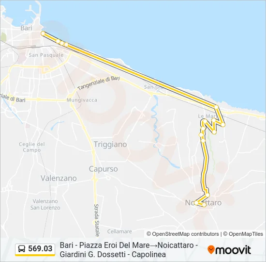 569.03 Bus Line Map