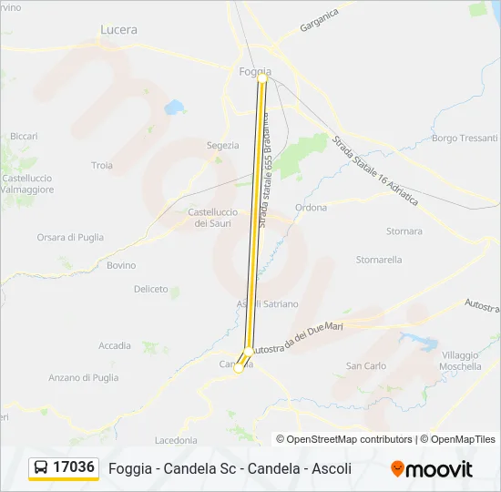 17036 Bus Line Map