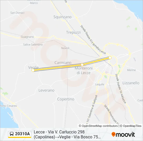 20310A Bus Line Map