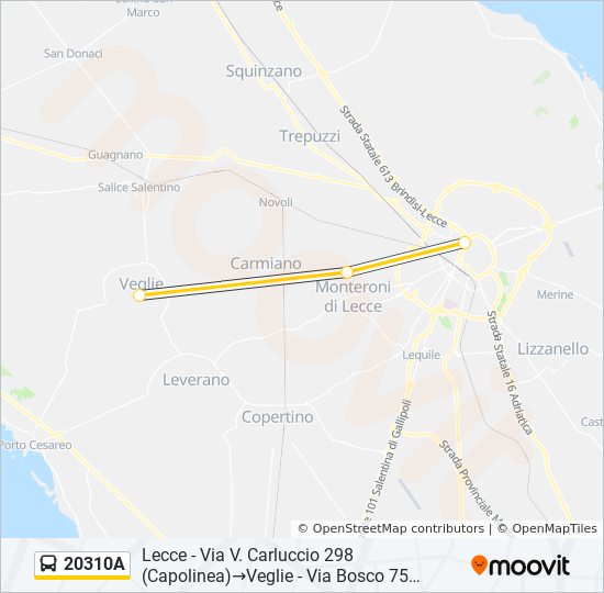 20310A bus Line Map