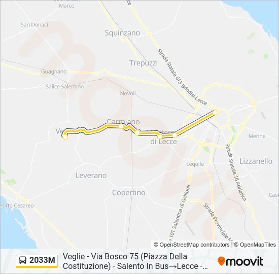 2033M Bus Line Map