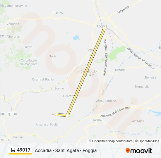 49017 Bus Line Map