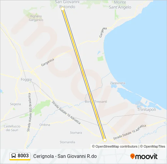 8003 Bus Line Map