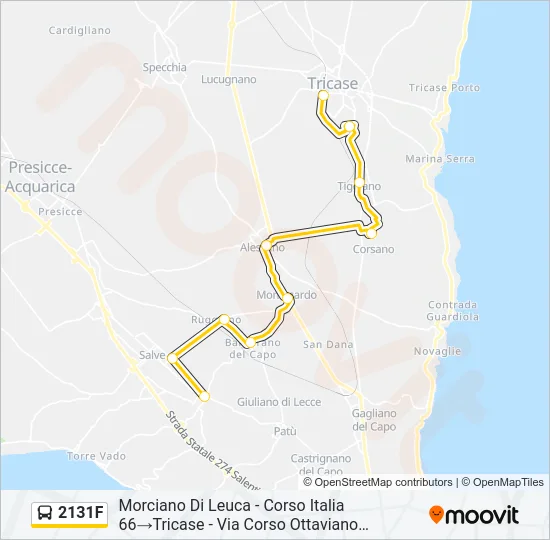2131F Bus Line Map