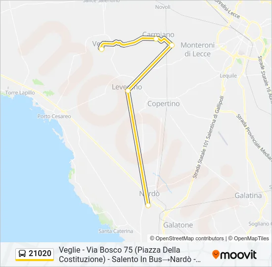 21020 Bus Line Map