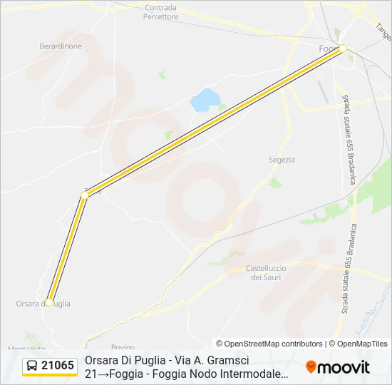 21065 Bus Line Map