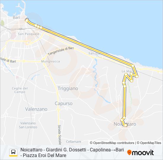 569R.03 FEST bus Line Map