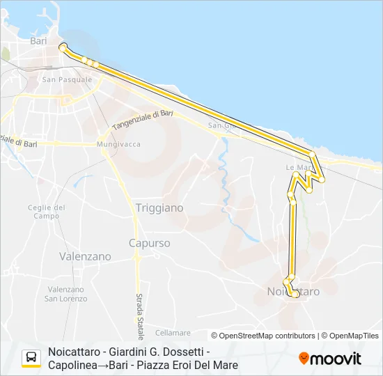 569R.03 FEST Bus Line Map