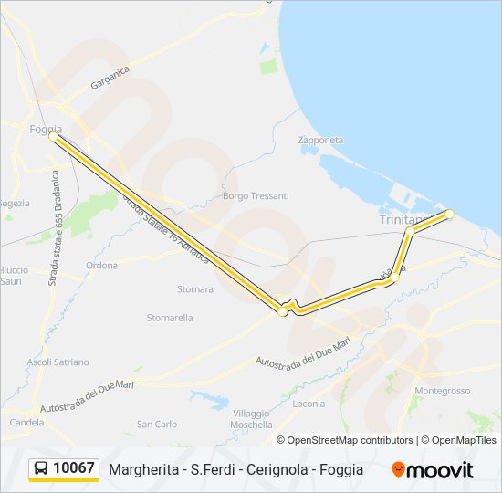 10067 Bus Line Map