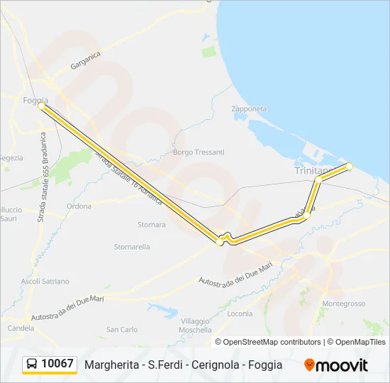 10067 Bus Line Map