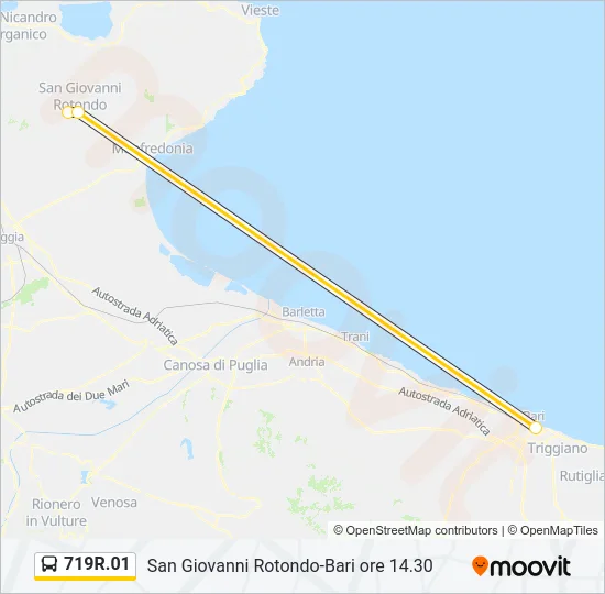 719R.01 Bus Line Map
