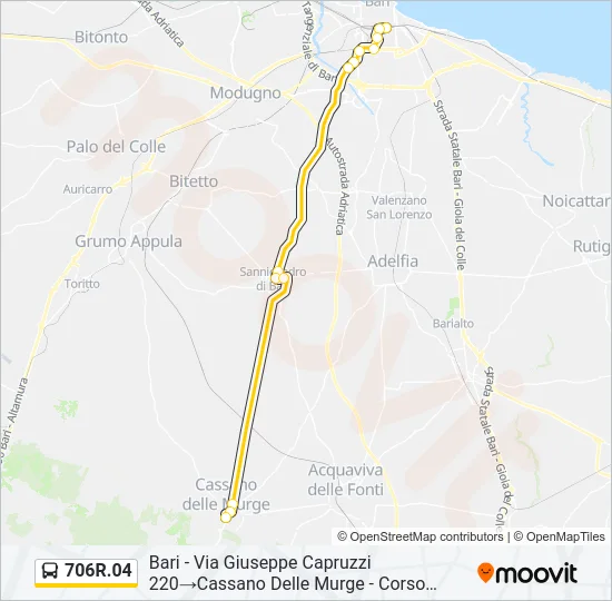 706R.04 Bus Line Map