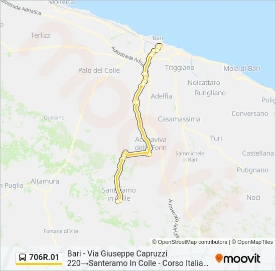 706R.01 Bus Line Map