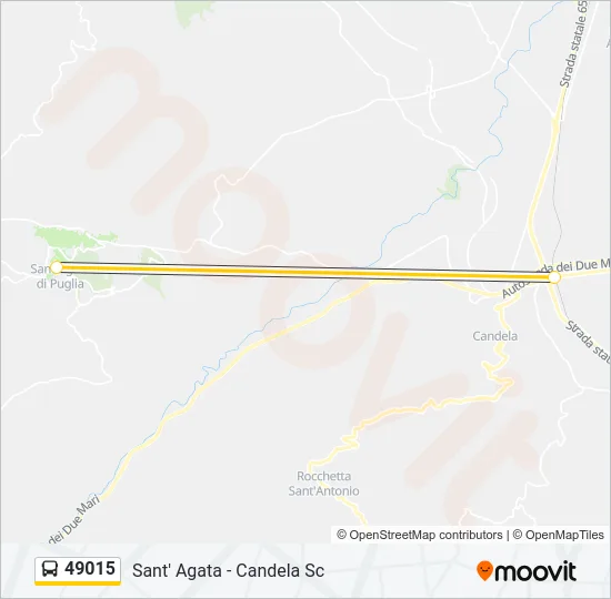 49015 Bus Line Map