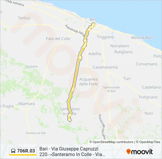 706R.03 Bus Line Map