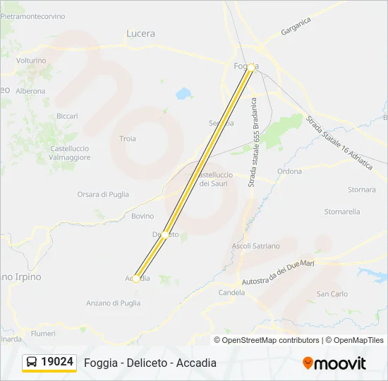 19024 Bus Line Map
