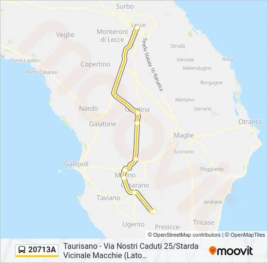 20713A Bus Line Map