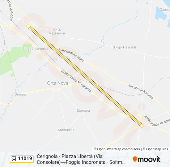 11019 Bus Line Map