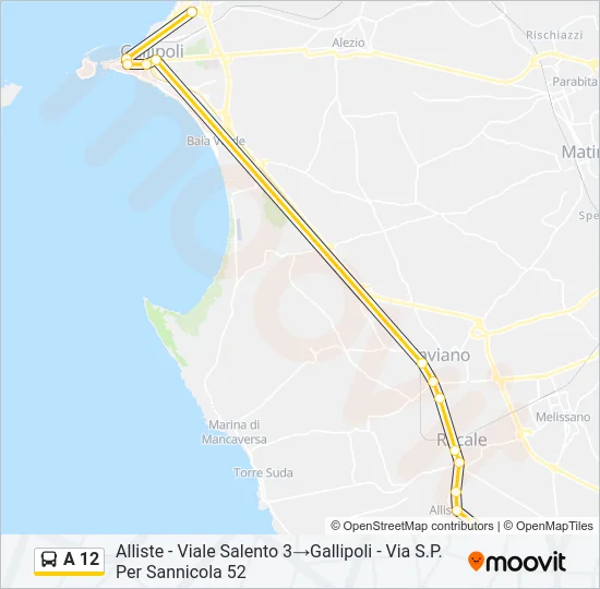 A 12 Bus Line Map