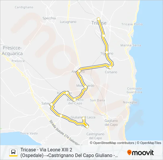 21316 - 1 Bus Line Map
